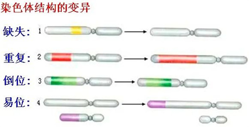 孕早期HCG翻倍不佳，这4个原因不可忽视！