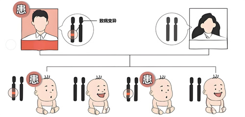 易栓症导致的复发性流产，做试管婴儿可行吗？