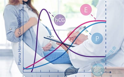 引爆热搜：这也能起试管宝宝流产？试管真比自然怀孕更脆弱吗？