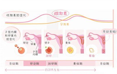 试管医生来不及说的三大潜规则，省钱快速抱娃看这篇足够