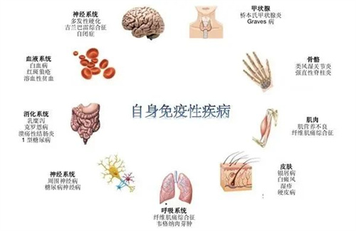 再好的胚胎内膜，不解决这个问题也白搭！