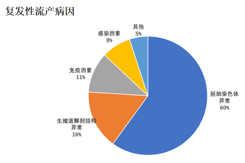 做试管婴儿前做好这三步，有效预防胎停流产！