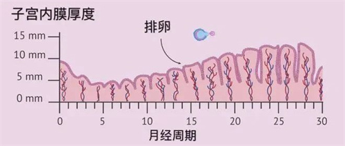 月经总是提前做试管婴儿，成功率会受影响吗？