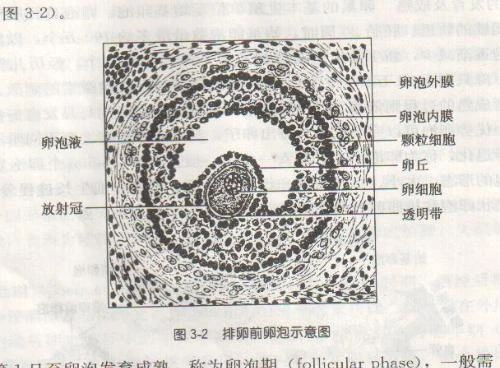 微信图片_20241008101428.jpg