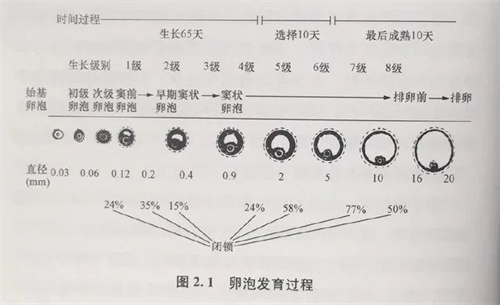 微信图片_20241008101437.jpg