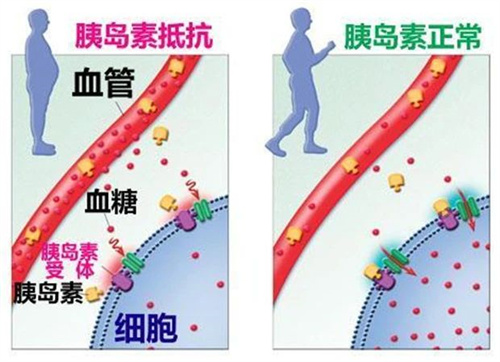 微信图片_20241008101440.jpg