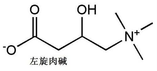 微信图片_20241008101447.jpg