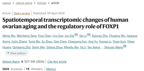 做试管婴儿前，想要提高AMH值，需改善这两点！