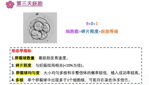 做试管婴儿为什么解冻后的胚胎还会掉等级？