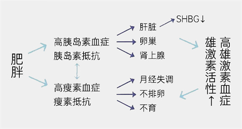 这个指标比“体重”更影响生育力？！备孕姐妹千万注意，别走错了道儿！