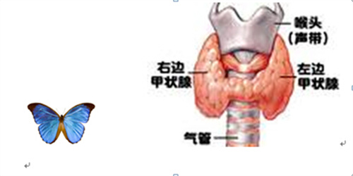 这个影响生育的小器官，你还不重视吗？