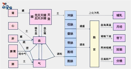 养卵先补肾？5类备孕人群，补的方法不一样！看看你是哪一种？