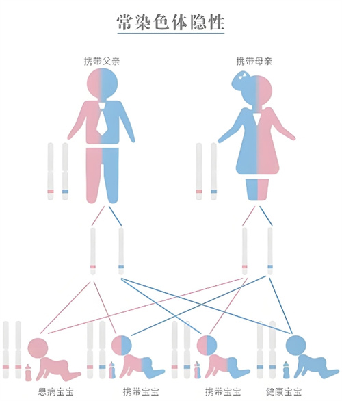 11β-羟化酶缺乏症是什么？PGT-M能起到孕前干预的作用吗？