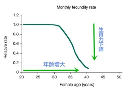 高龄女性备孕难，这些生育策略你get到了吗？