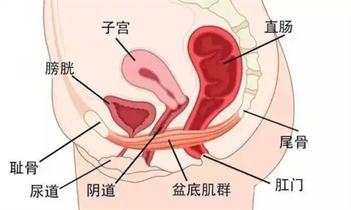 这个因素会影响生殖健康，但很多人却不知道！