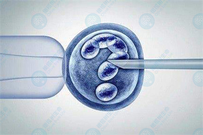 空孕囊是怎么回事？做试管婴儿能避免吗？