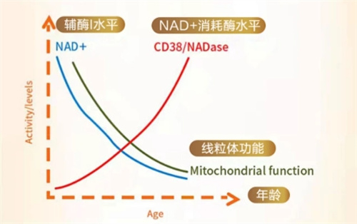 微信图片_20241118183443.jpg