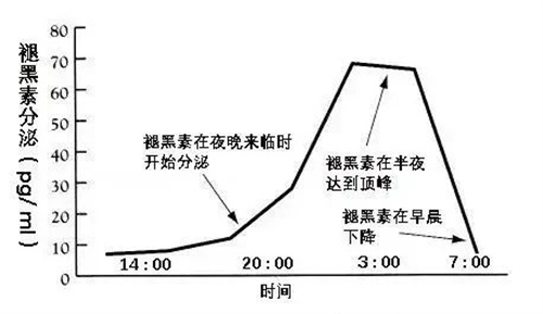 微信图片_20241118183501.jpg