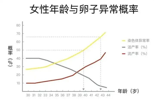 养卵第一步，减少过度氧化带来的伤害！