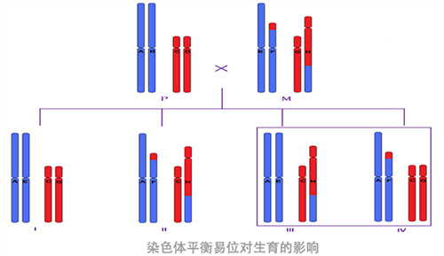 做三代试管婴儿经过筛查的囊胚，移植后为什么还会胎停？