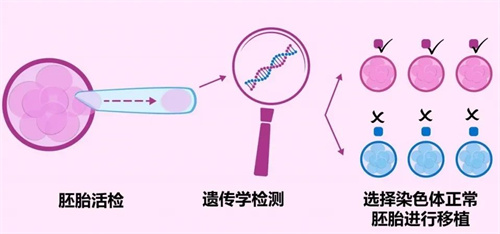 为什么建议高龄不孕女性做三代试管？高龄生育可能会面临这些问题