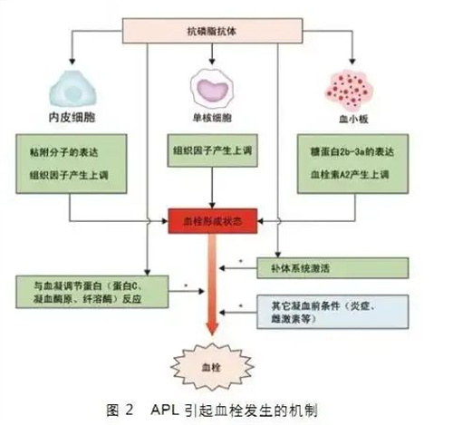 胎停不是优胜劣汰，一半原因都是因为它！