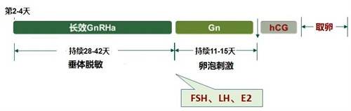 高龄女性做试管婴儿，选对促排方案是第一步！