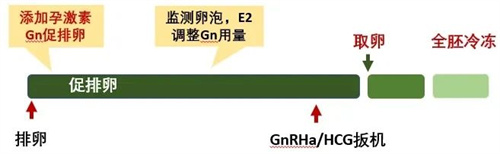 高龄女性做试管婴儿，选对促排方案是第一步！