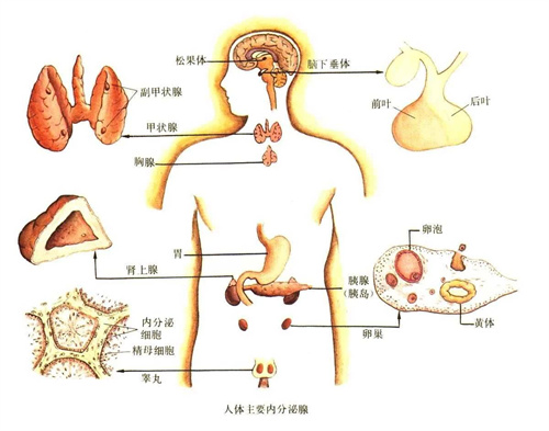 这些容易导致男性不育的因素，80%的人中招！