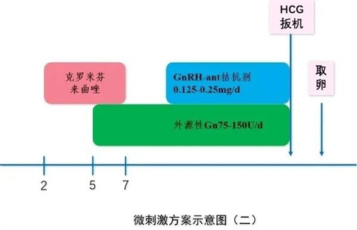 试管促排微刺激方案，一文教您了解清楚！