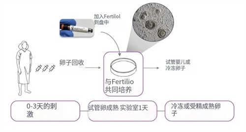 这项试管新技术真的能解决大龄卵少的难题？