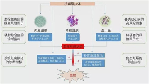 最易引发胎停的8个高危因素，你一定要知道！