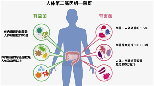 吃出好孕全靠“它”？！院士研究又获新进展！不孕治疗或可走捷径！