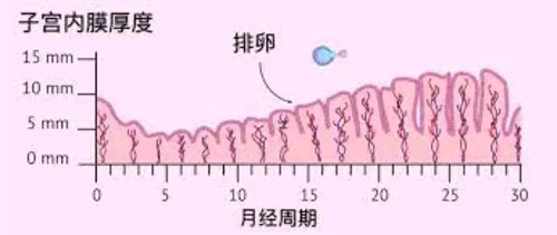 做试管婴儿在胚胎移植前，不妨先了解子宫内膜容受性！