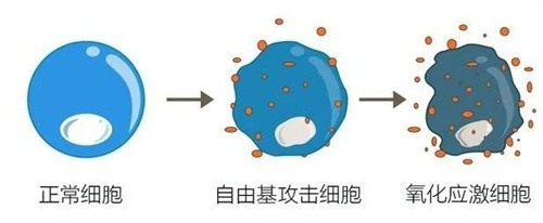 染色体异常的4个干预方向，看完这篇不再迷茫