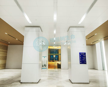 泰国Superior A.R.T.医院Superior A.R.T | Infertility Treatment ( IVF ) 泰国Superior A.R.T.医院Superior A.R.T | Infertility Treatment ( IVF )