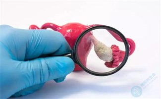调控「卵巢修复」的关键激素竟是它？关乎备孕成败！卵泡液重磅研究！