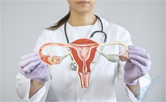 卵巢内暗藏“生育杀手”：慢性炎症与不孕的真相！