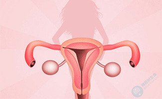大龄试管备孕女性，该如何延缓卵巢衰老？
