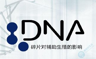 精子DNA碎片率：影响男性试管备孕的“隐形指标”！