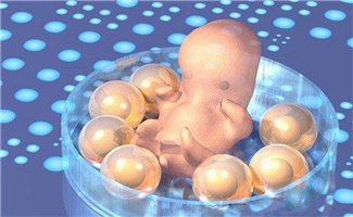 试管周期中的奥秘：囊胚与早期胚胎的区别究竟在哪？