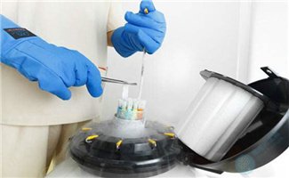 -196℃冷藏的胚胎，移植成功率真的不如鲜胚？